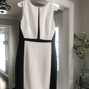 White House Black Market Sheath Dress.  Size 8.